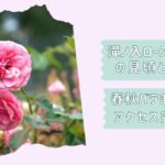 滝ノ入ローズガーデン春秋ガイド