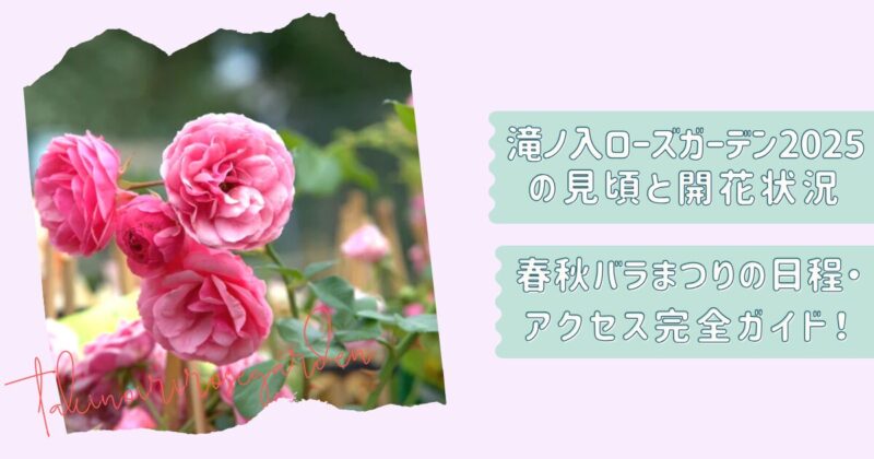 滝ノ入ローズガーデン春秋ガイド