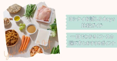 ヨシケイお試し5daysガイド