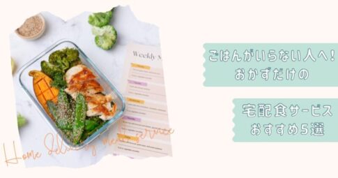 ごはんなし宅配食