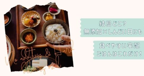 無添加しんどい日の宅配食